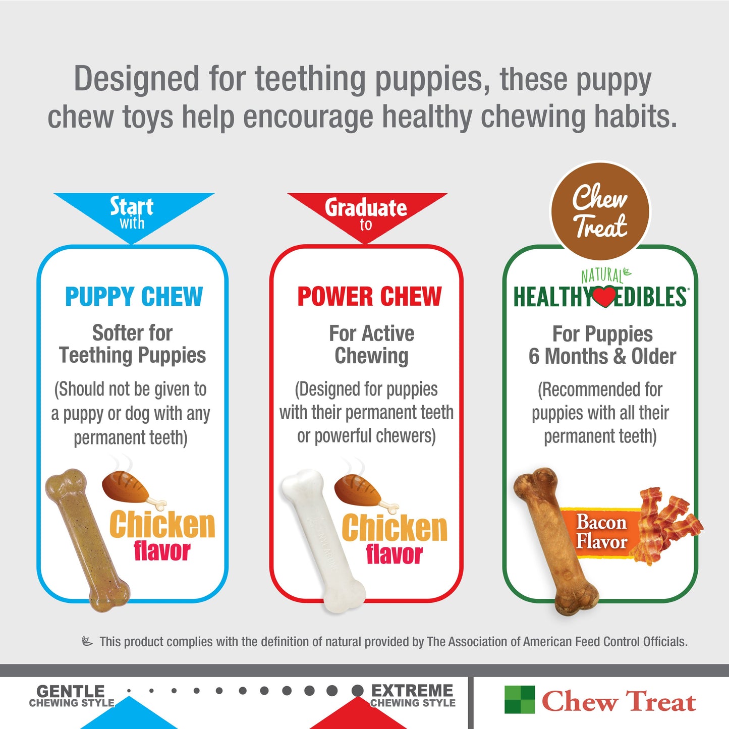 Nylabone Puppy Starter Kit Dog Chew Toys  Treat Chicken  Bacon, 1ea/SMall/Regular  Up To 25 Ibs. 3 ct
