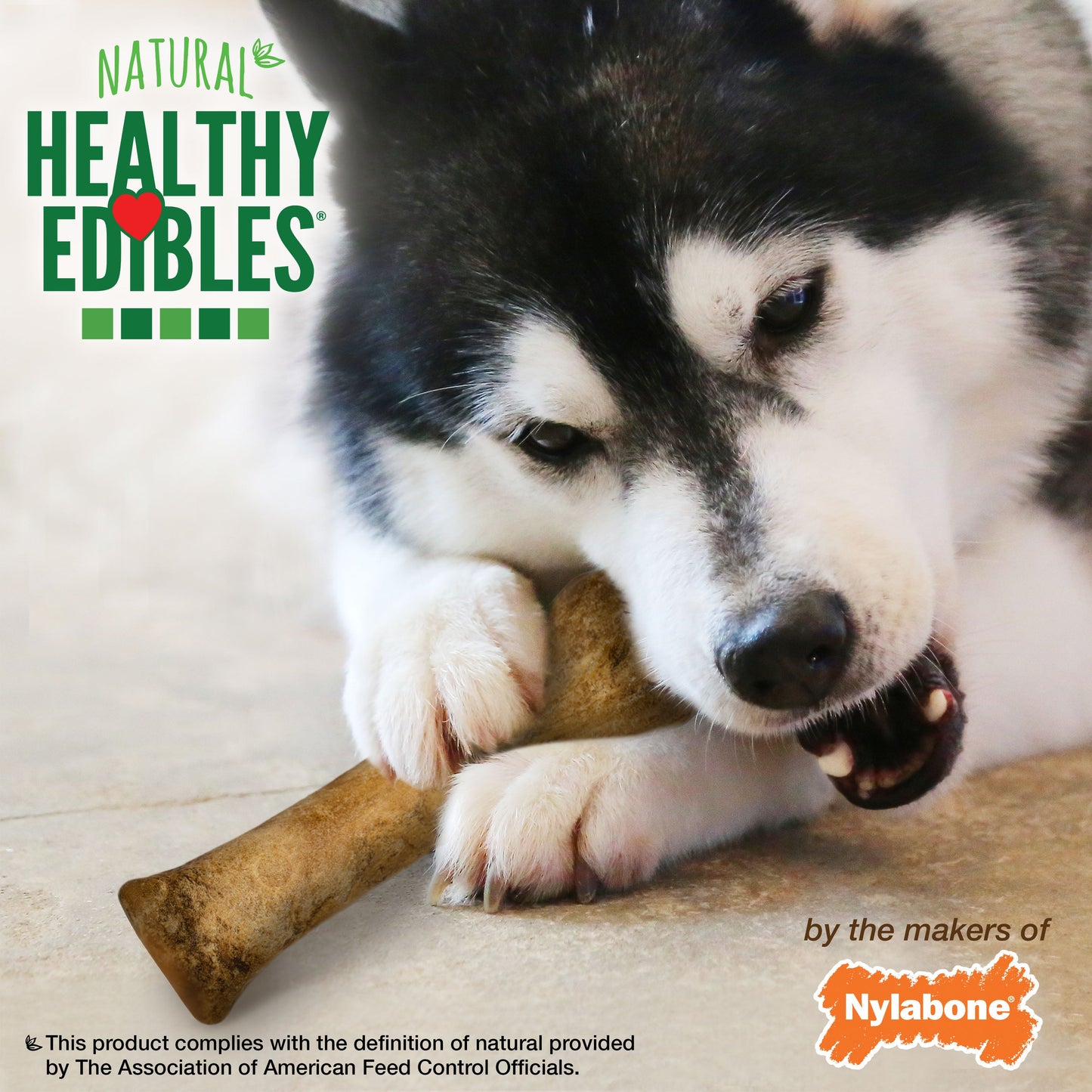Nylabone Healthy Edibles AllNatural Long Lasting Chew Treats Chicken, 1ea/XL/Souper  50 Lbs. 1 ct