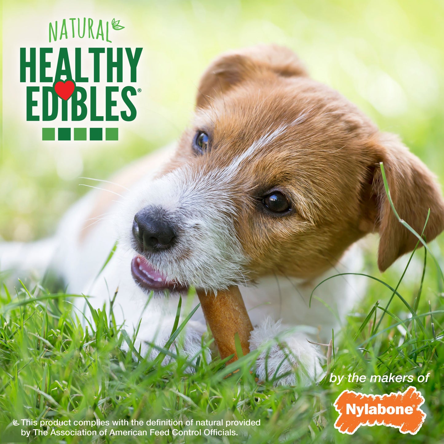 Nylabone Healthy Edibles AllNatural Long Lasting Chew Treats Roast Beef, 1ea/SMall/Regular  Up To 25 Ibs. 3 ct