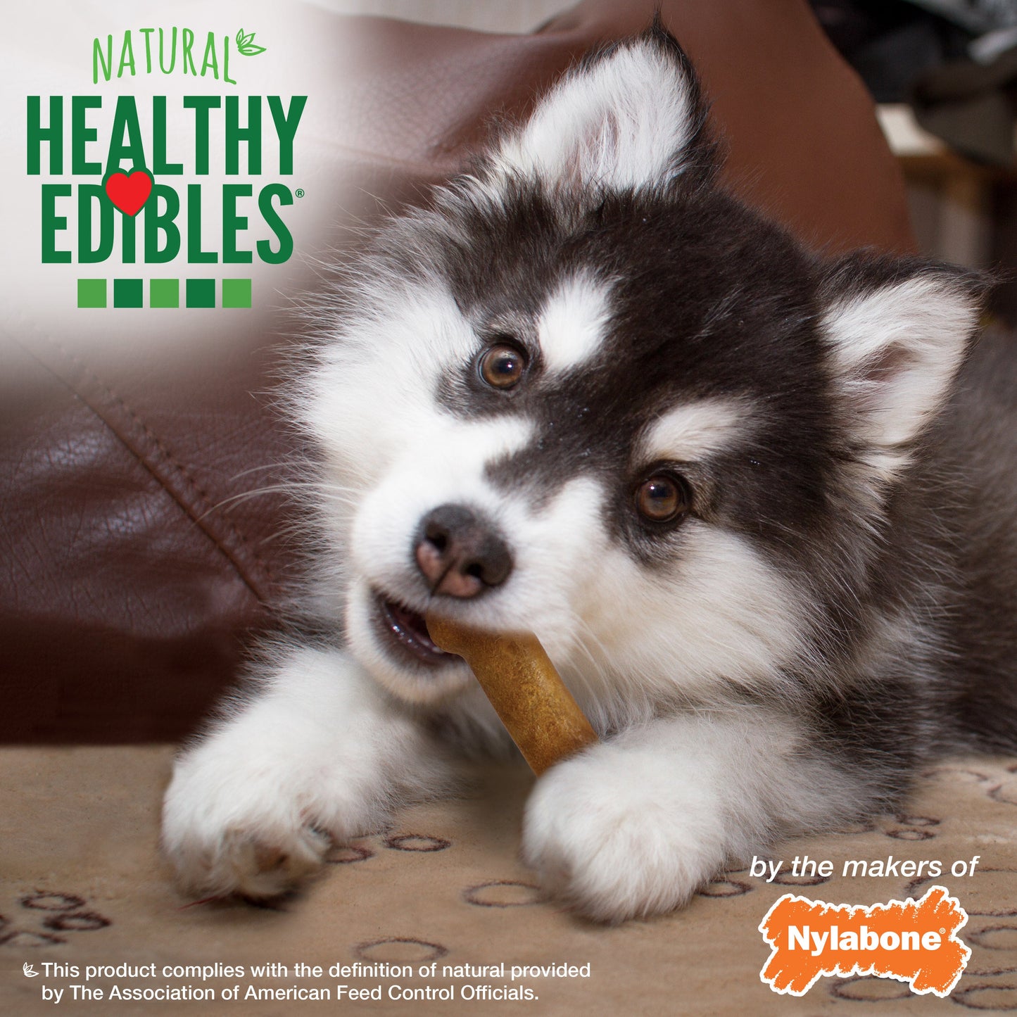 Nylabone Healthy Edibles AllNatural Long Lasting Puppy Chew Treats Lamb  Apple, 1ea/SMall/Regular  Up To 25 Ibs. 3 ct