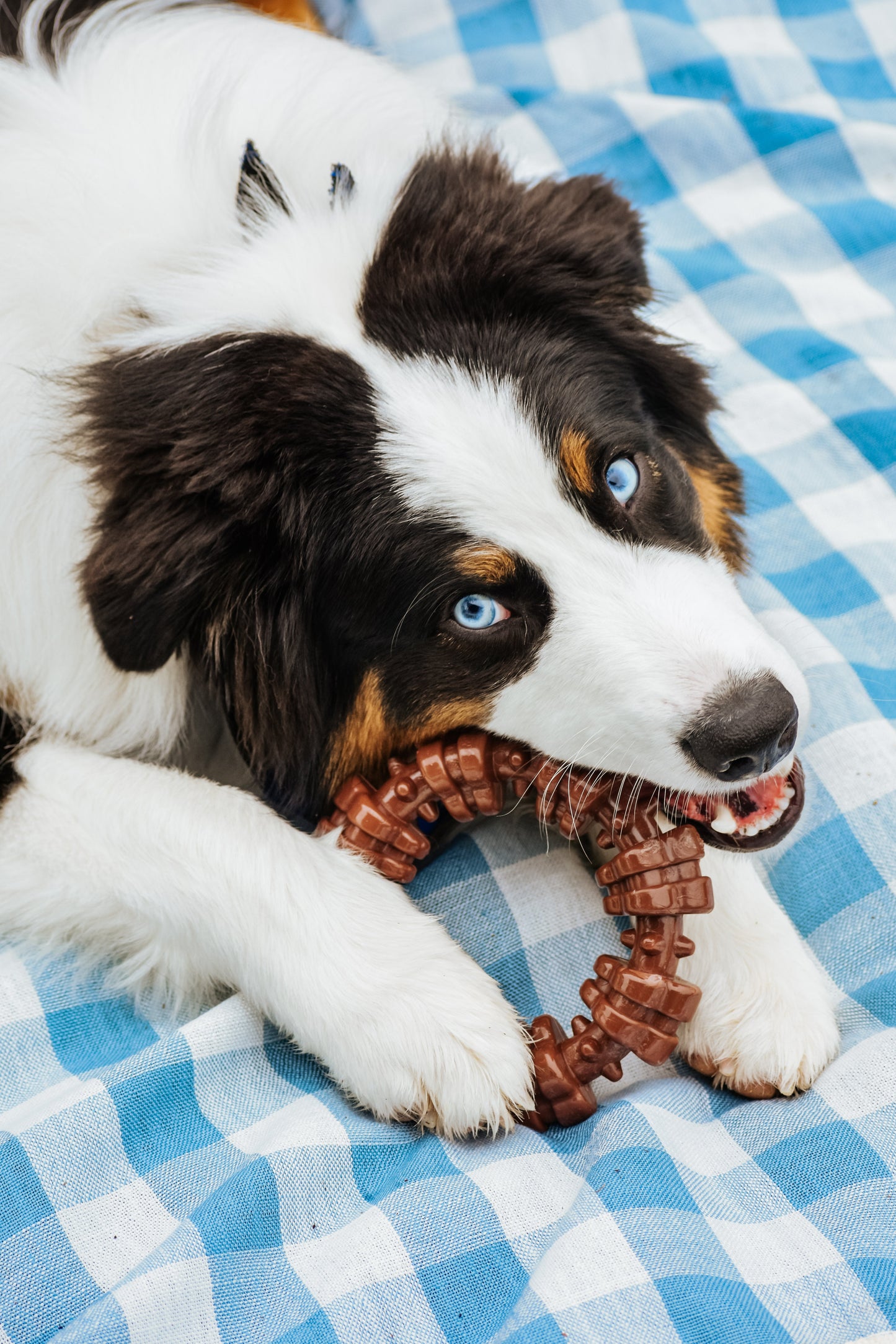 Nylabone Power Chew Textured Dog Ring Toy Flavor Medley, 1ea/XL/Souper  50 Lbs. 1 ct