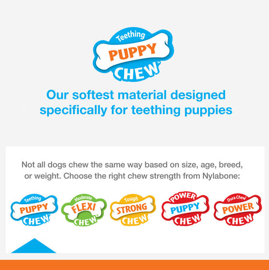 Nylabone Puppy Ring Bone Teething Toy for Puppies Chicken, 1ea/Medium/Wolf  Up To 35 Lbs. 1 ct