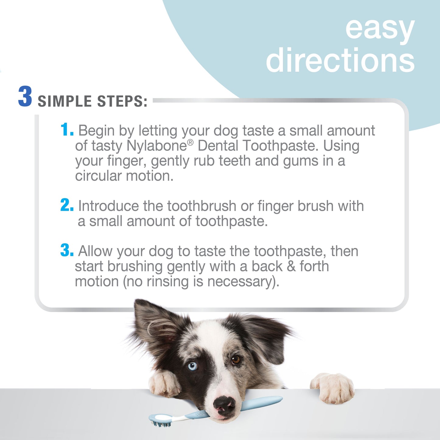Nylabone Advanced Oral Care Tartar Control Dog Toothpaste Original, 1ea/2.5 oz 1 ct