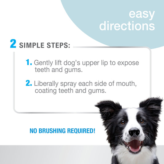 Nylabone Advanced Oral Care Dental Spray Fresh Breath, 1ea/4 oz 1 ct