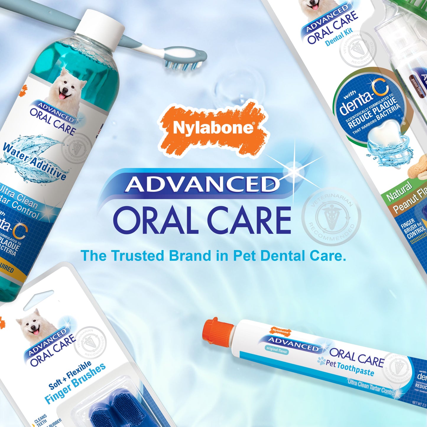 Nylabone Advanced Oral Care Dental Spray Fresh Breath, 1ea/4 oz 1 ct