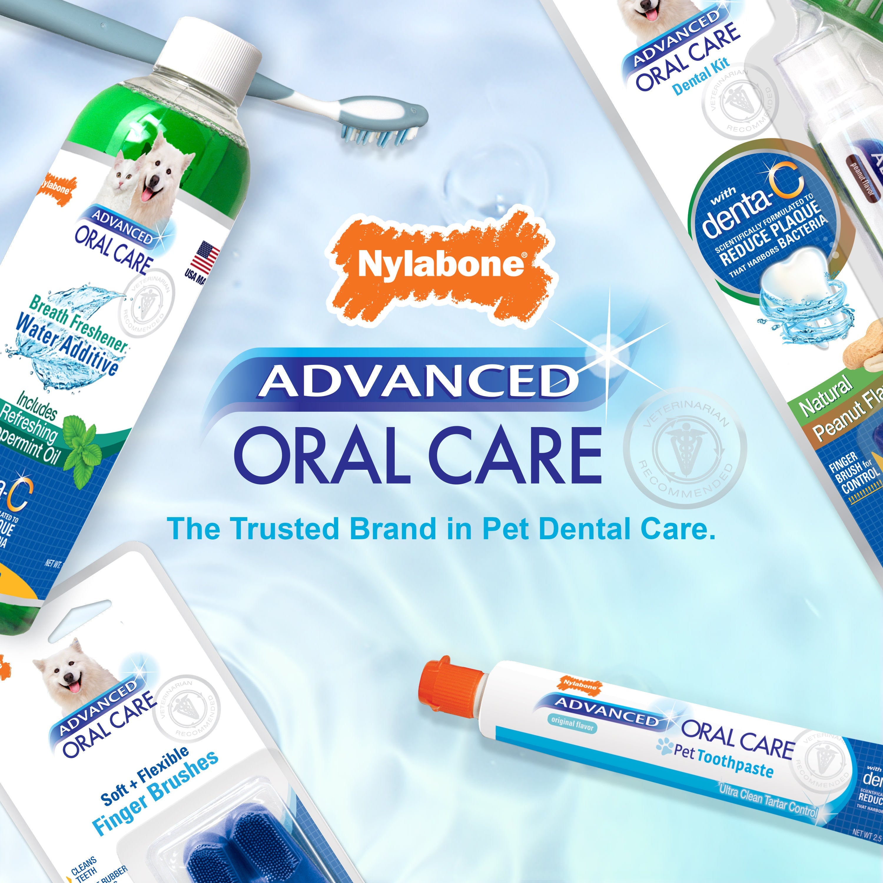 Nylabone Advanced Oral Care Cat Dental Kit Original, 1ea/2.5 oz 3 ct