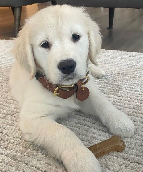 Nylabone Classic Puppy Chew Flavored Durable Dog Chew Toy Chicken  Peanut Butter, 1ea/XS/Petite  Up To 15 Lbs. 2 ct