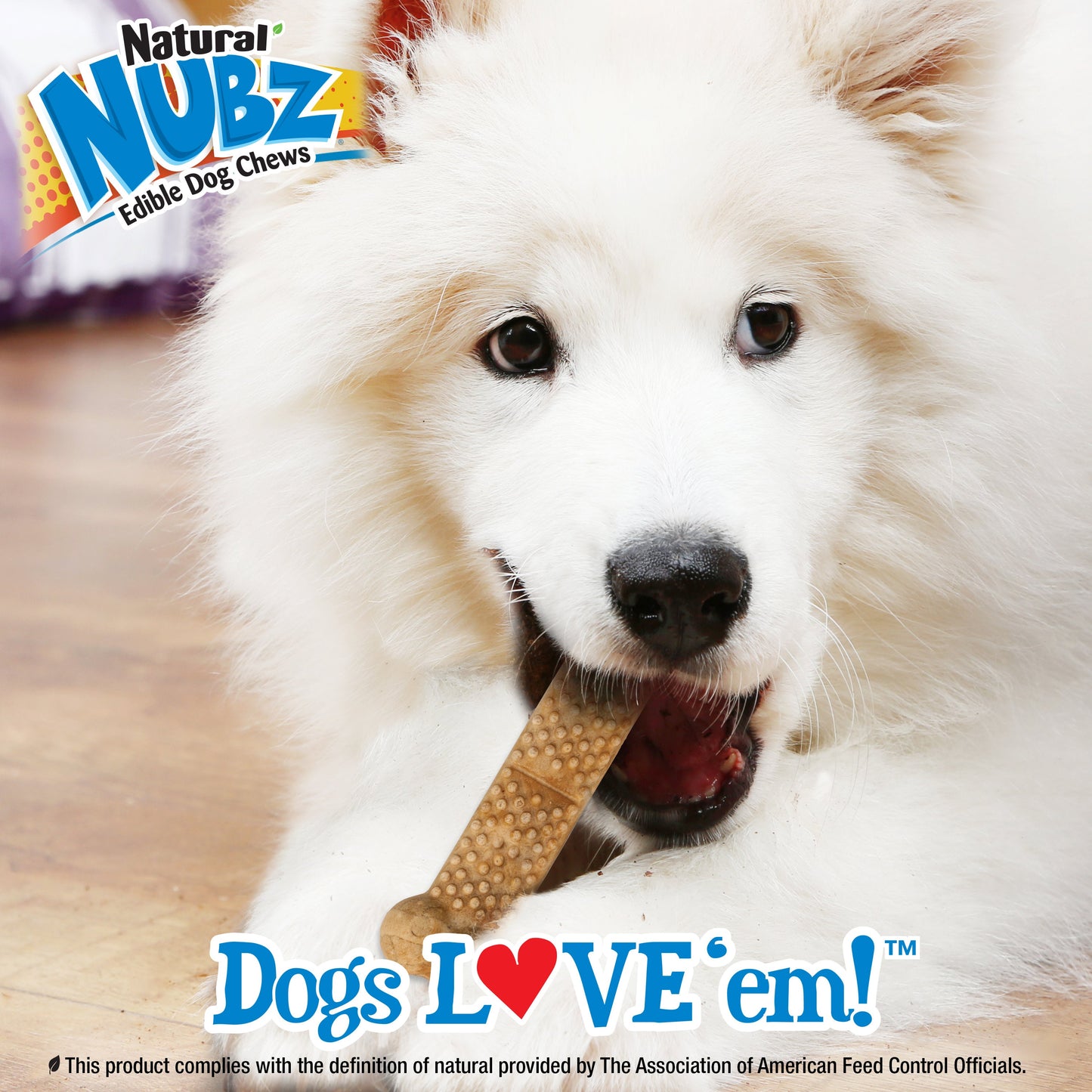 Nylabone Natural Nubz Chicken Dog Treats Chicken, 1ea/Large  30 Lbs. 12 ct