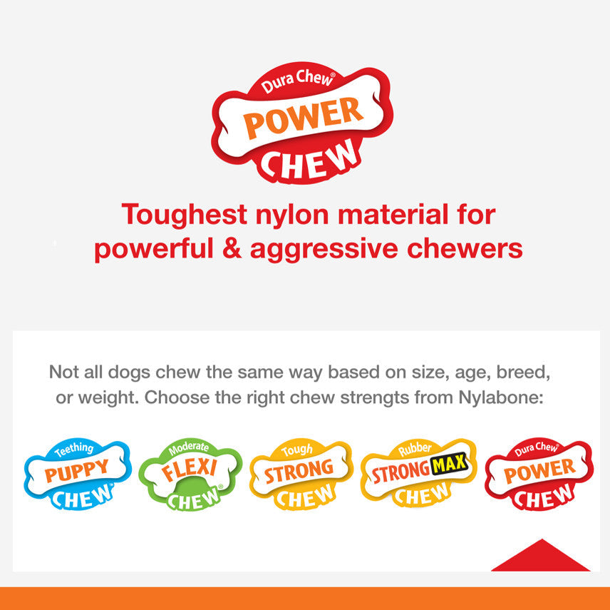 Nylabone Power Chew Antler Dog Chew Alternative Venison, 1ea/Medium/Wolf  Up To 35 Lbs. 1 ct