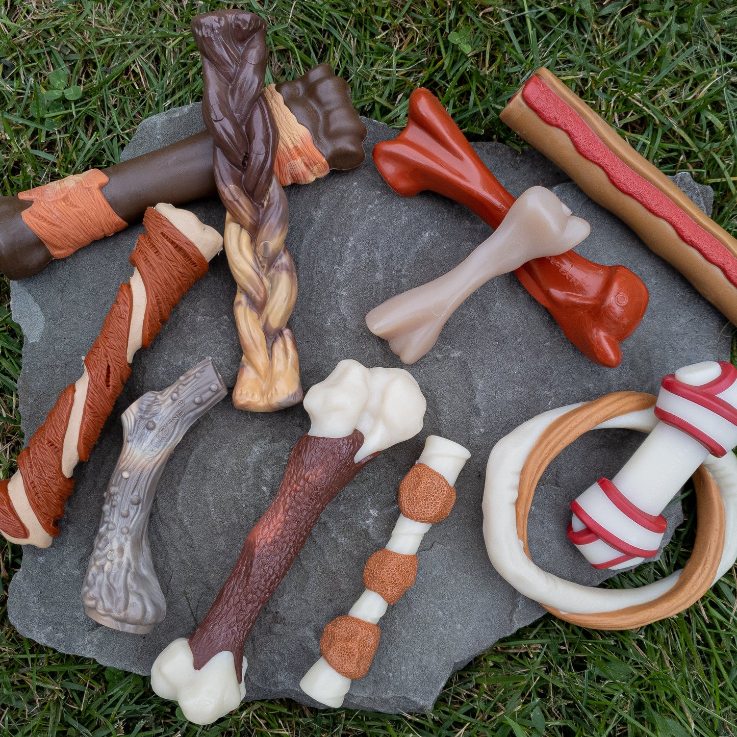 Nylabone Power Chew Antler Dog Chew Alternative Venison, 1ea/Medium/Wolf  Up To 35 Lbs. 1 ct