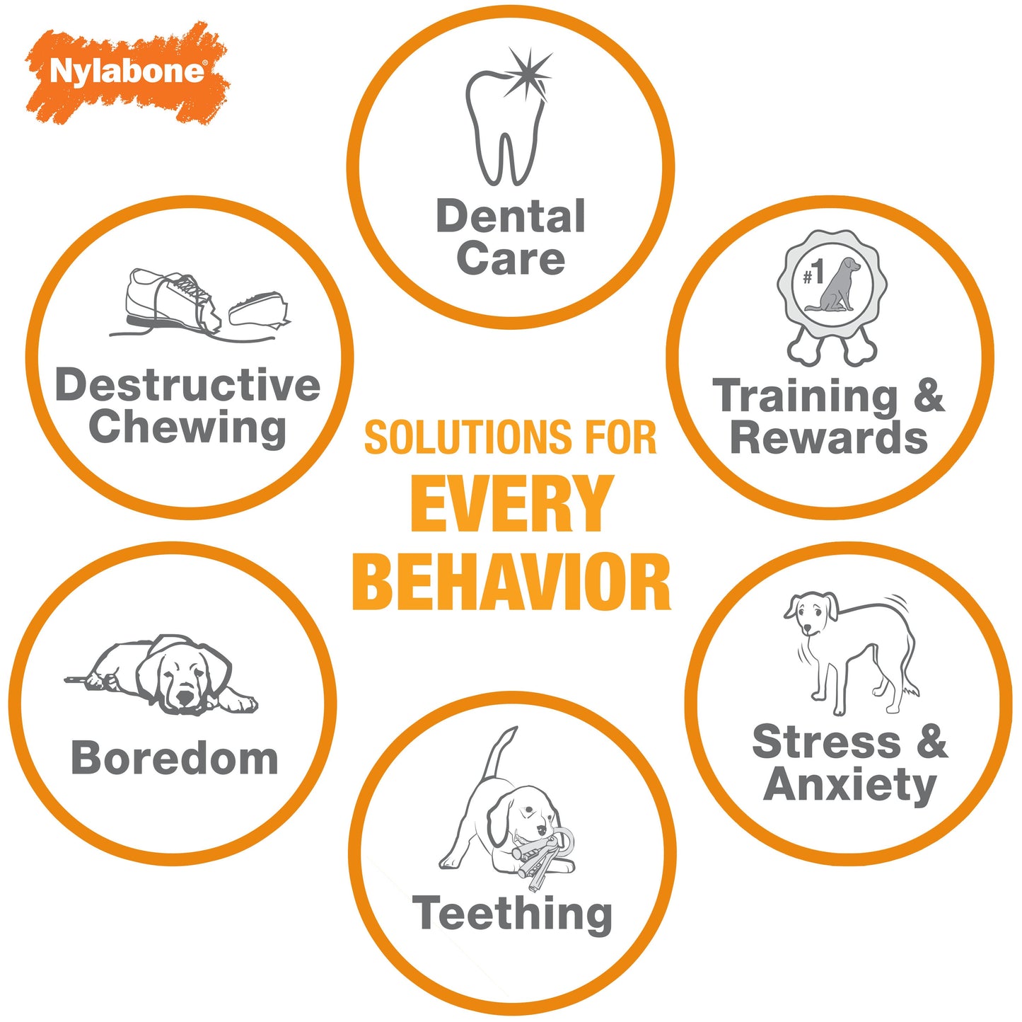 Nylabone Power Chew Antler Dog Chew Alternative Venison, 1ea/Medium/Wolf  Up To 35 Lbs. 1 ct