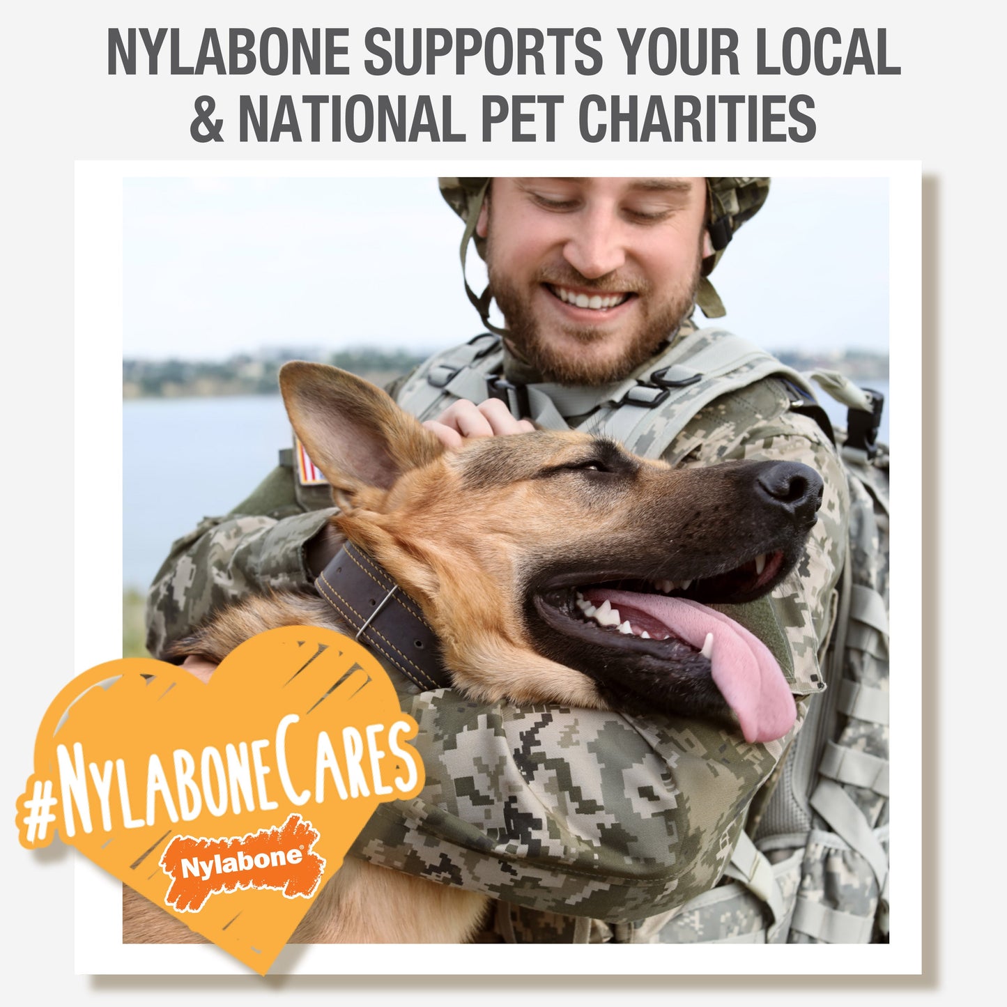 Nylabone Power Chew Antler Dog Chew Alternative Venison, 1ea/Medium/Wolf  Up To 35 Lbs. 1 ct