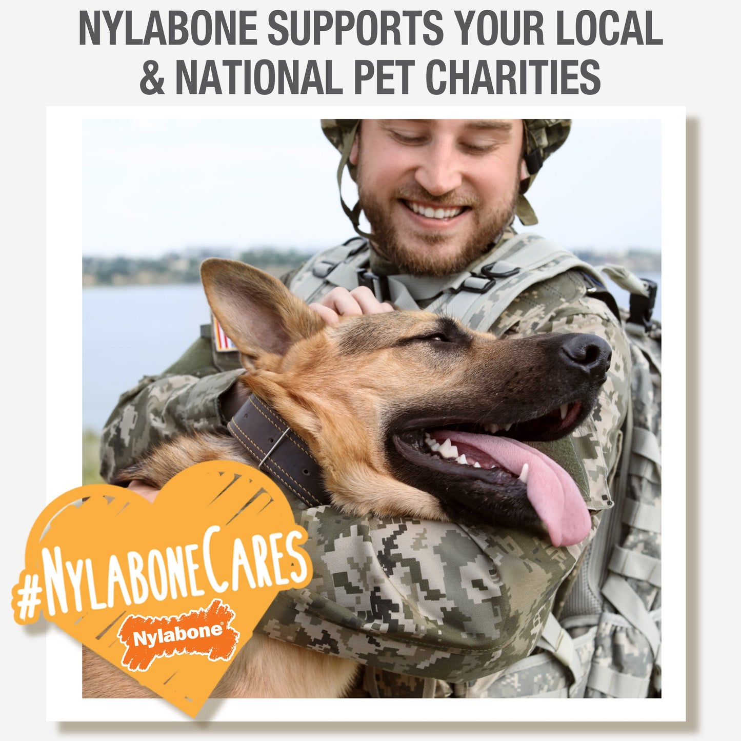 Nylabone Healthy Edibles WILD AllNatural Long Lasting Chew Treats Venison, 1ea/Large/Giant  Up To 50 Lbs. 1 ct
