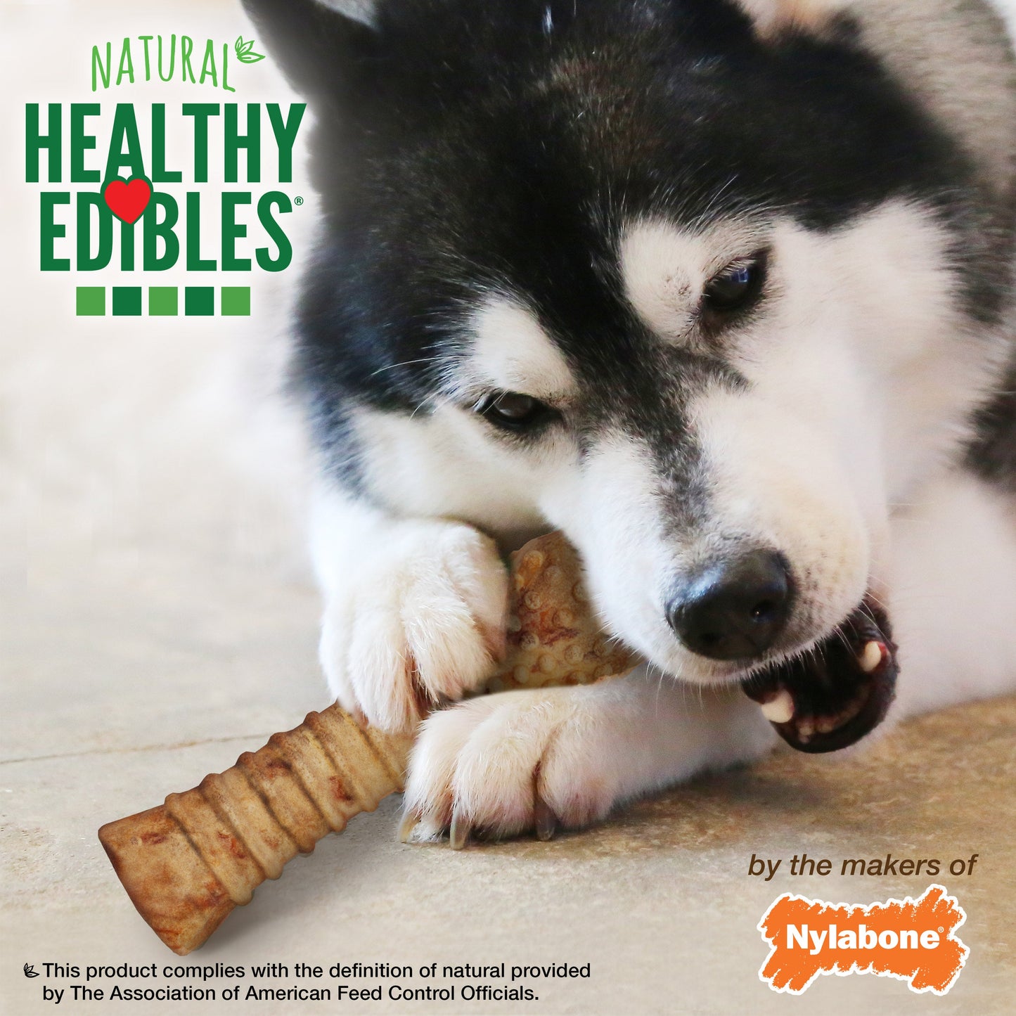 Nylabone Healthy Edibles AllNatural Long Lasting Chew Treats Turkey  Apple, 1ea/XL/Souper  50 Lbs. 1 ct