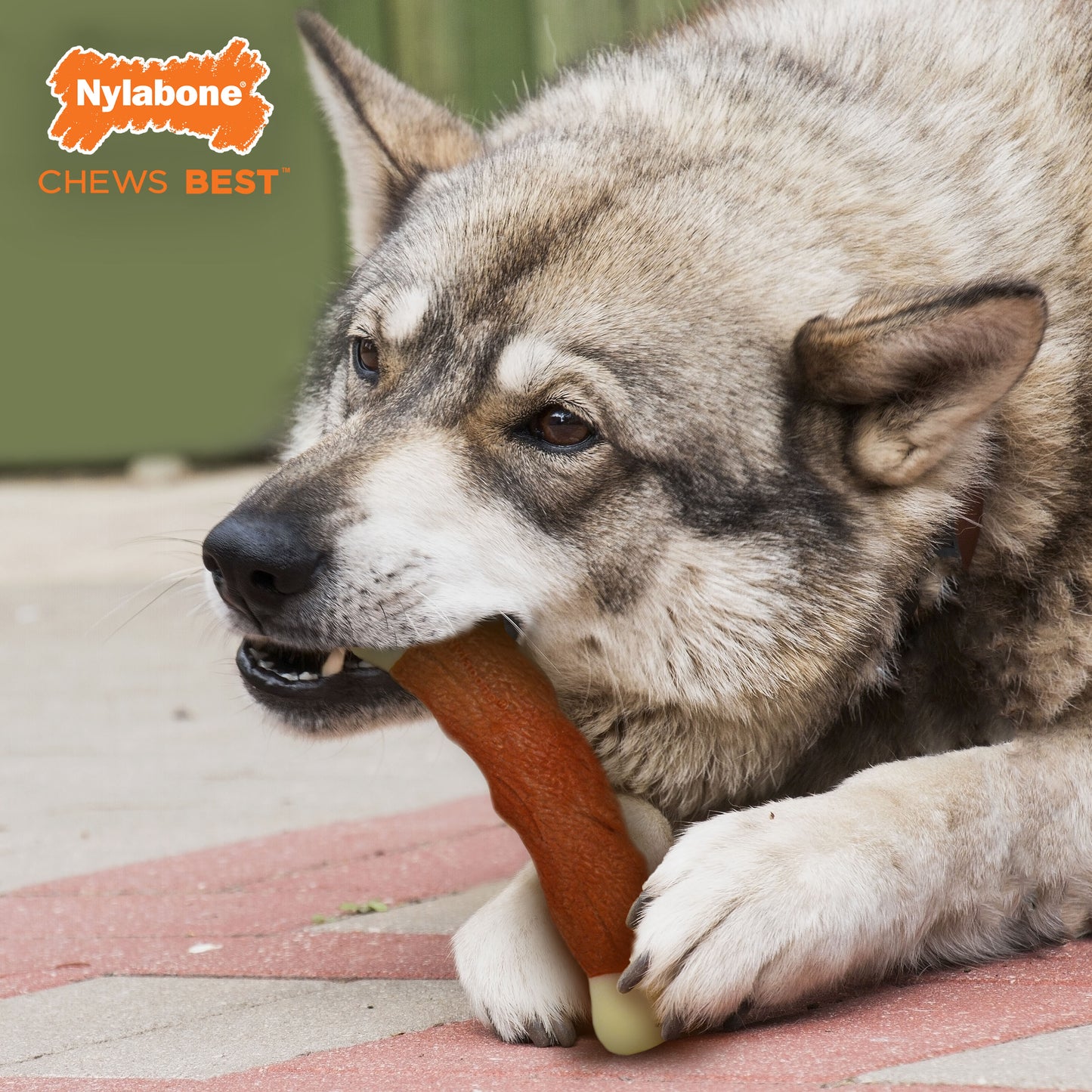 Nylabone Power Chew Marrow Bone Alternative Dog Chew Toy Beef, 1ea/Large/Giant  Up To 50 Lbs. 1 ct