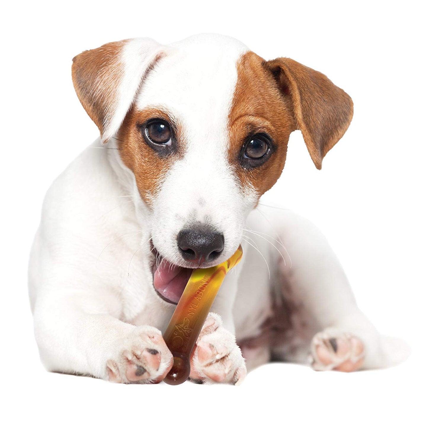 Nylabone Flavor Frenzy Power Chew Triple Pack Chili Cheese Dog, Popcorn  Cherry, 1ea/SMall/Regular  Up To 25 Ibs. 3 ct