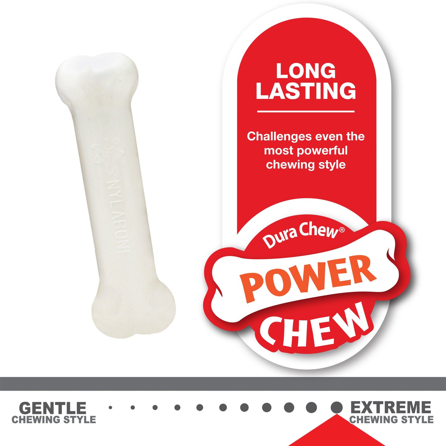 Nylabone Puppy Chew Variety Toy  Treat Triple Pack Chicken  Lamb Starter Kit, 1ea/SMall/Regular  Up To 25 Ibs.