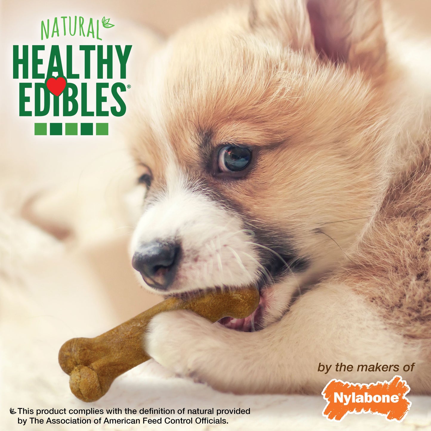 Nylabone Healthy Edibles AllNatural Long Lasting Puppy Chew Treats Roast Beef, Turkey, Apple, Bacon, 1ea/XS/Petite  Up To 15 Lbs. 3 ct