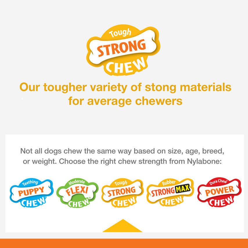 Nylabone Strong Chew Real Wood Dog Stick Toy 1ea/Medium/Wolf  Up To 35 Lbs. 1 ct