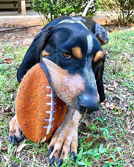 Nylabone Power Play Dog Football Gripz 1ea/Medium/Wolf  Up To 35 Lbs. 5.5 in 1 ct