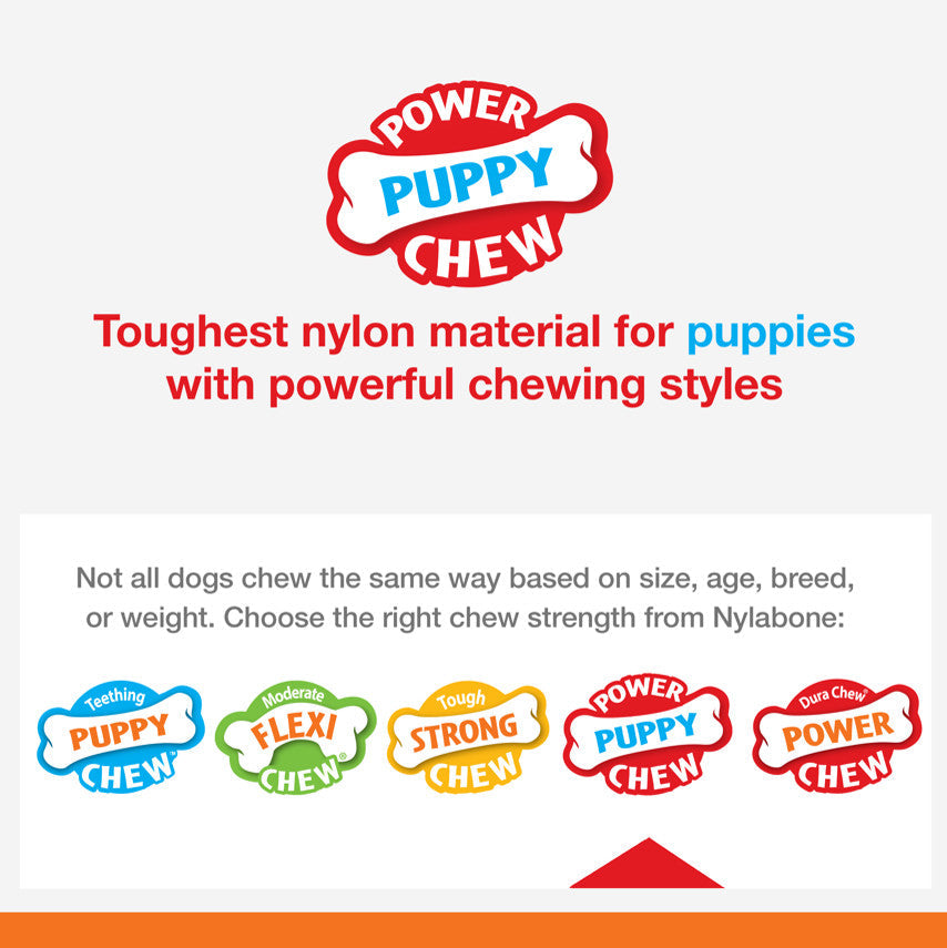 Nylabone Puppy Power Chew Axis Bone Nylon Chew Toy Vanilla, 1ea/SMall/Regular  Up To 25 Ibs. 1 ct