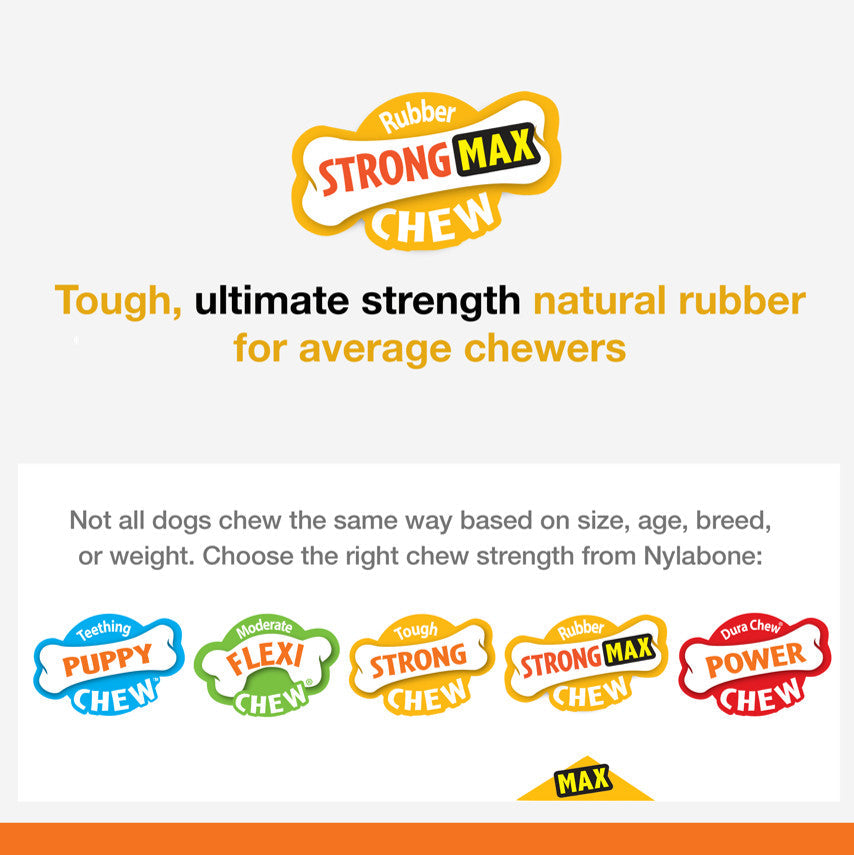 Nylabone Strong Chew Braided Dog Ring Chew Toy Beef, 1ea/Medium/Wolf  Up To 35 Lbs. 1 ct