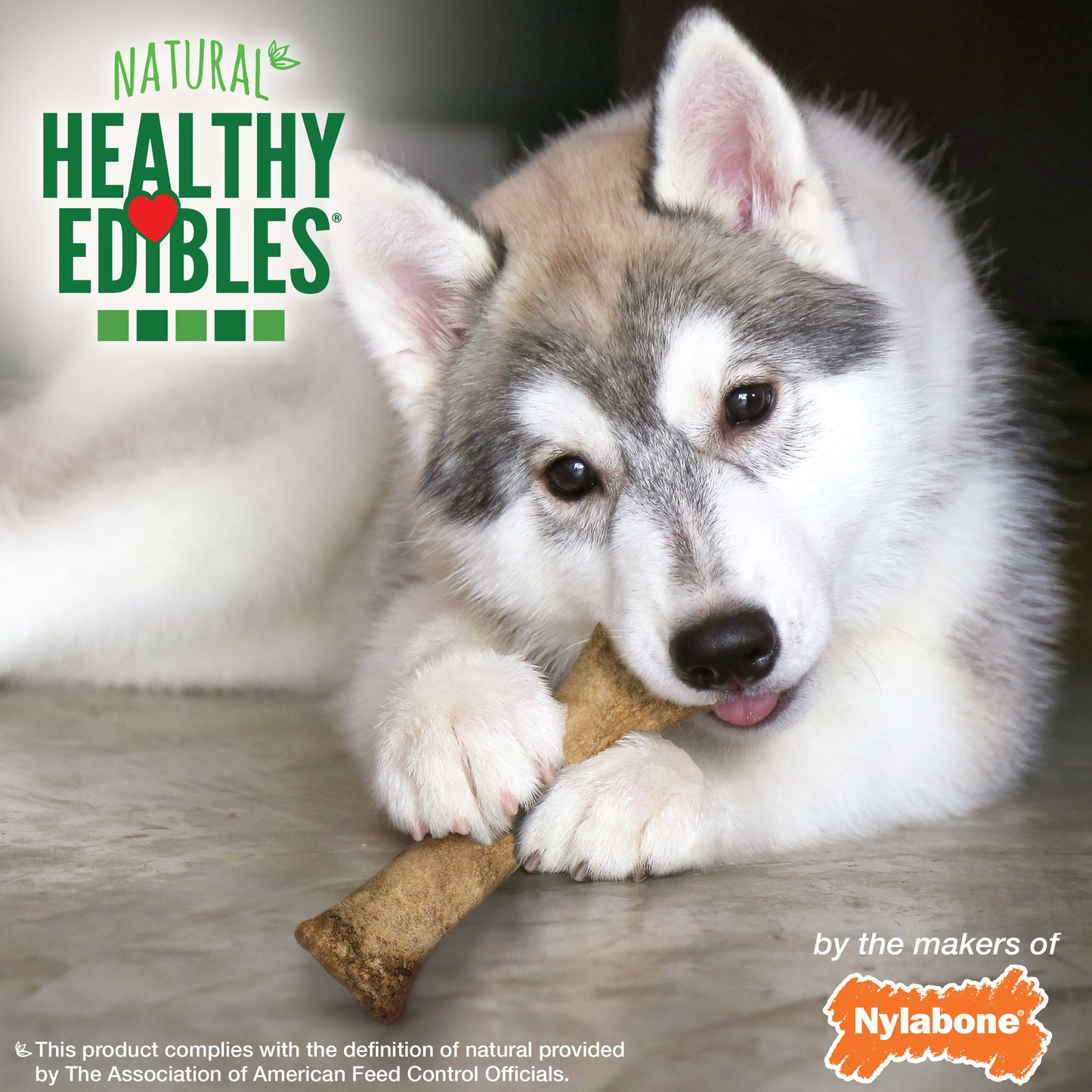 Nylabone Healthy Edibles AllNatural Long Lasting Puppy Chew Treats Lamb  Apple, 1ea/XL/Souper  50 Lbs. 1 ct
