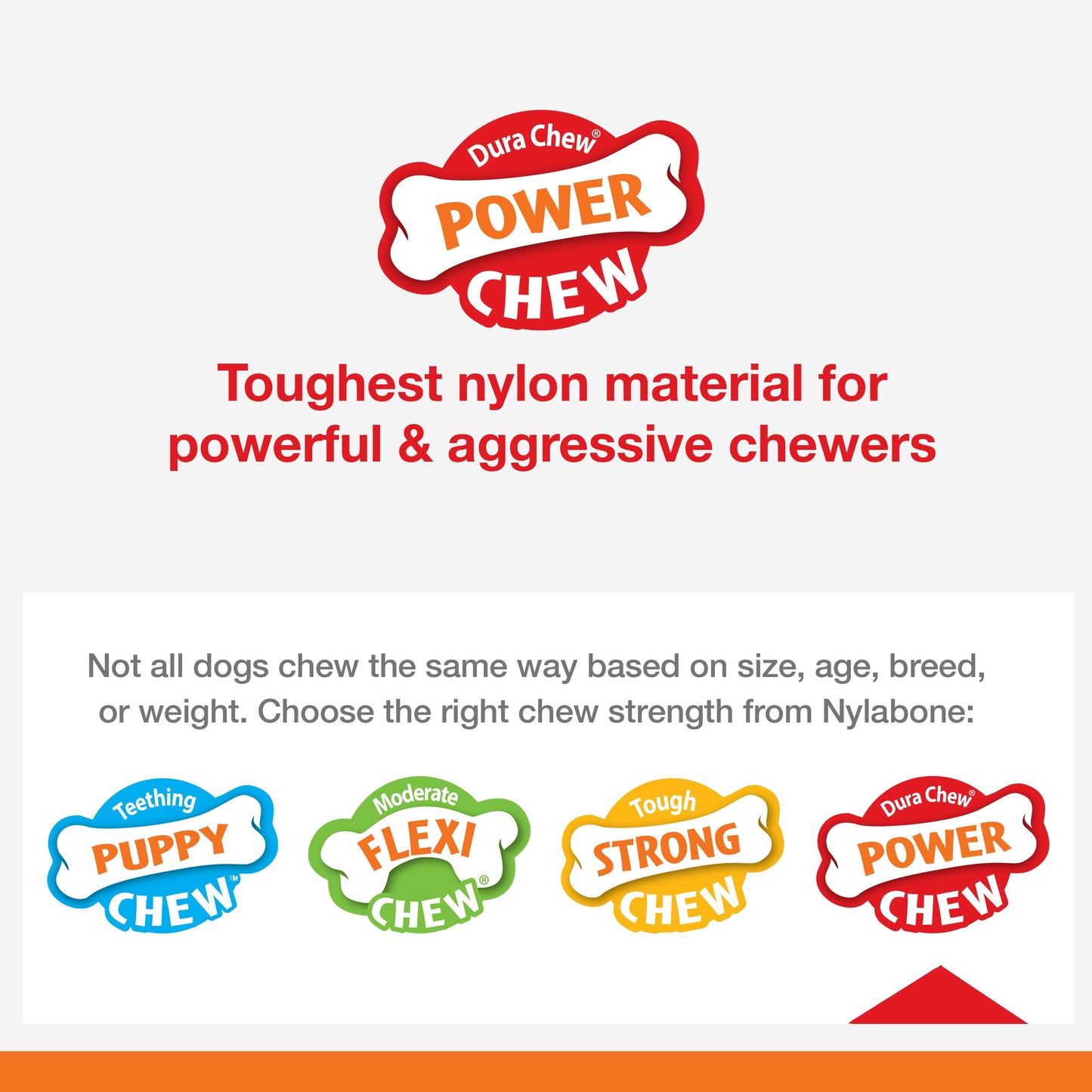 Nylabone Power Chew Pretzel Dog Toy Bacon  Peanut Butter, 1ea/SMall/Regular  Up To 25 Ibs. 1 ct