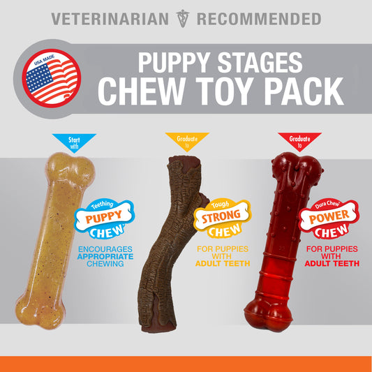 Nylabone Puppy Chew Stages Triple Pack Chewy Toys Chicken, Bacon,  Beef Jerky, 1ea/Medium/Wolf  Up To 35 Lbs. 3 ct