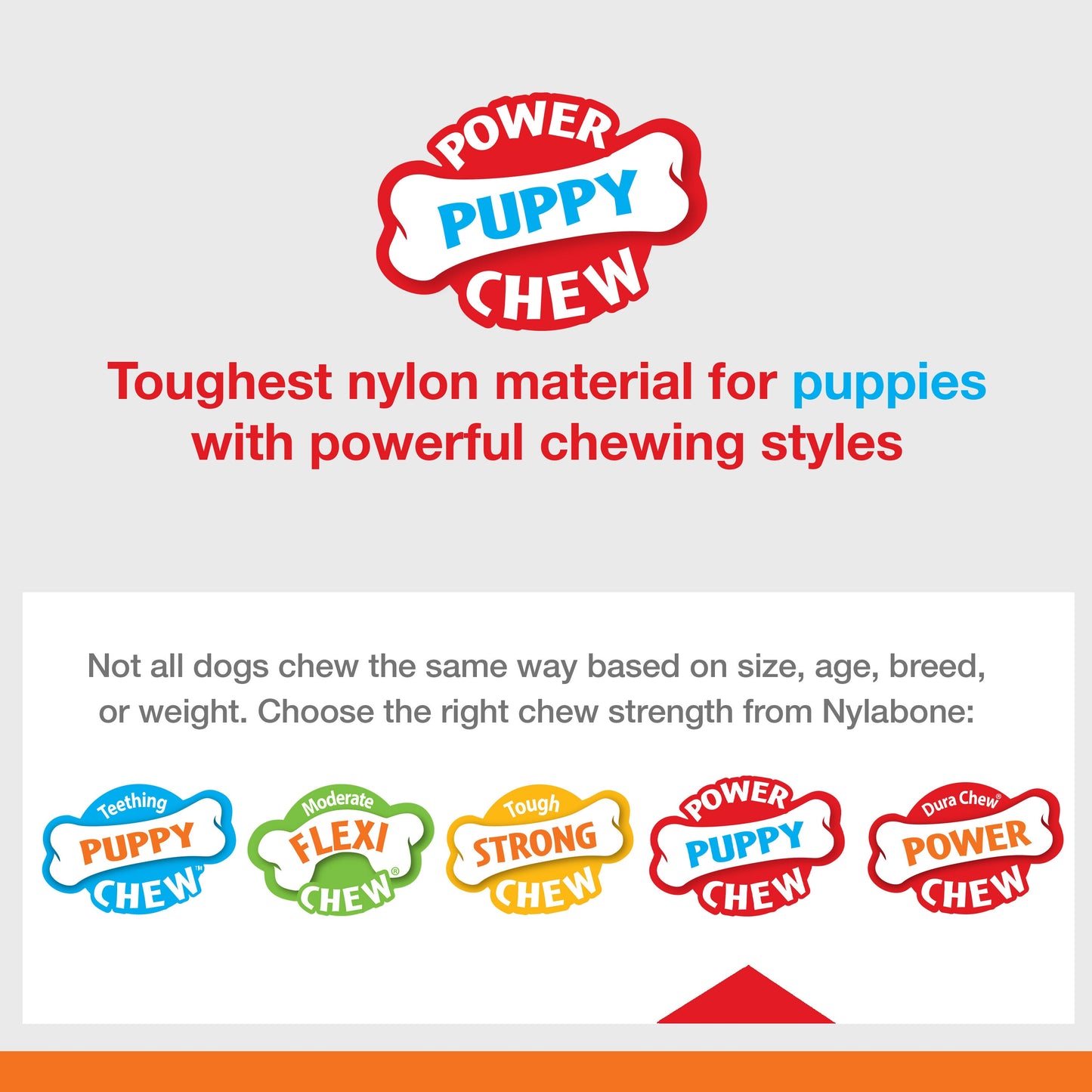 Nylabone Puppy Power Chew Souper Bone  PopIn Puppy Treat Toy Combo Chicken, 1ea/XS/Petite  Up To 15 Lbs. 1 ct