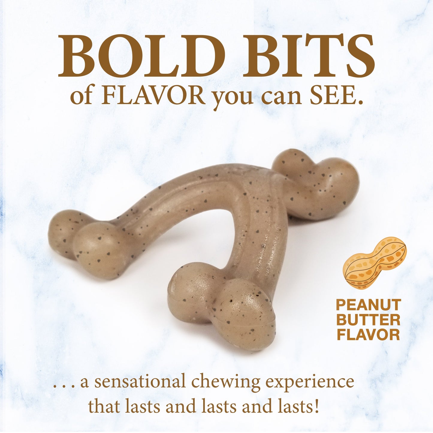 Nylabone Gourmet Style Strong Wishbone Puppy Chew Toy Peanut Butter, 1ea/SMall/Regular  Up To 25 Ibs. 1 ct