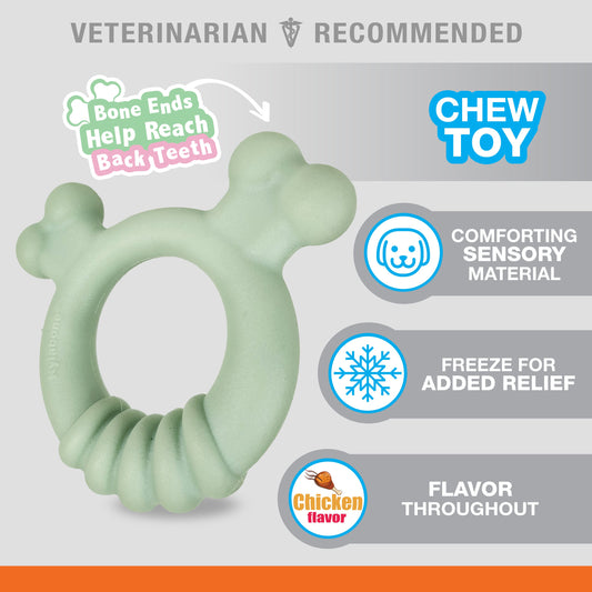 Nylabone Sensory Material Puppy Teething Ring Chicken, 1ea/SMall/Regular  Up To 25 Ibs. 1 ct