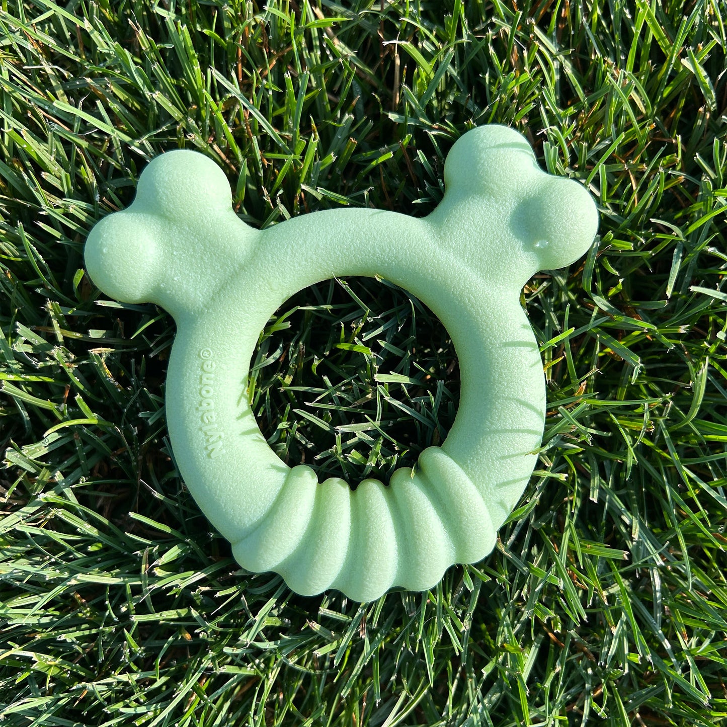 Nylabone Sensory Material Puppy Teething Ring Chicken, 1ea/SMall/Regular  Up To 25 Ibs. 1 ct