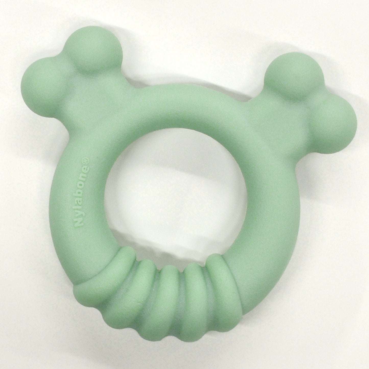 Nylabone Sensory Material Puppy Teething Ring Chicken, 1ea/SMall/Regular  Up To 25 Ibs. 1 ct