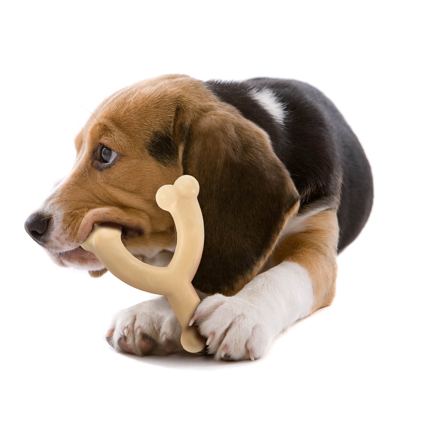 Nylabone Power Chew Original Wishbone Dog Toy Adult Dog Original, Original, 1ea/Medium/Wolf  Up To 35 Lbs. 1 ct