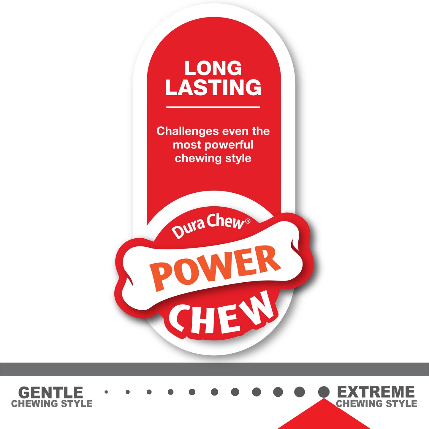 Nylabone Power Chew Original Wishbone Dog Toy Adult Dog Original, Original, 1ea/Medium/Wolf  Up To 35 Lbs. 1 ct