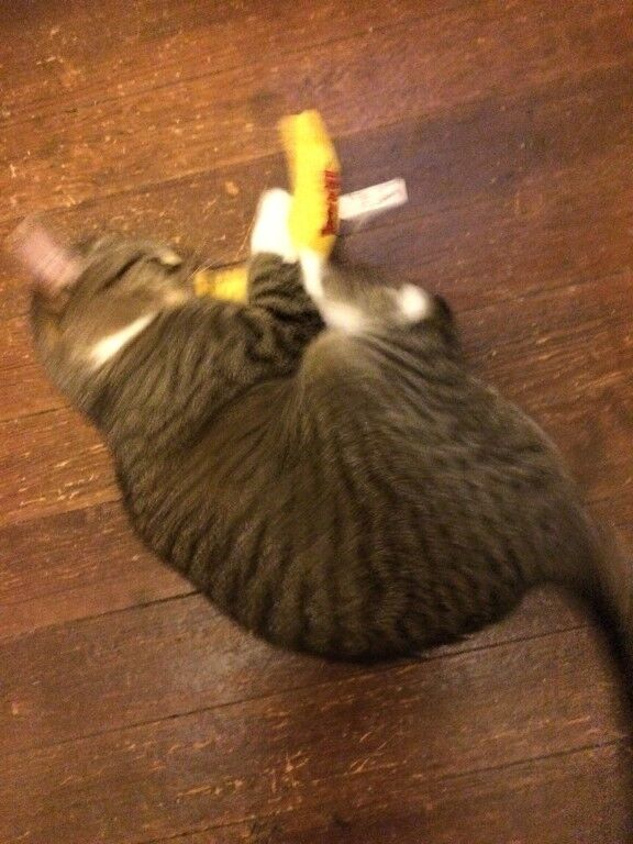 Yeowww Banana Catnip Cat Toy Yellow, 7 in