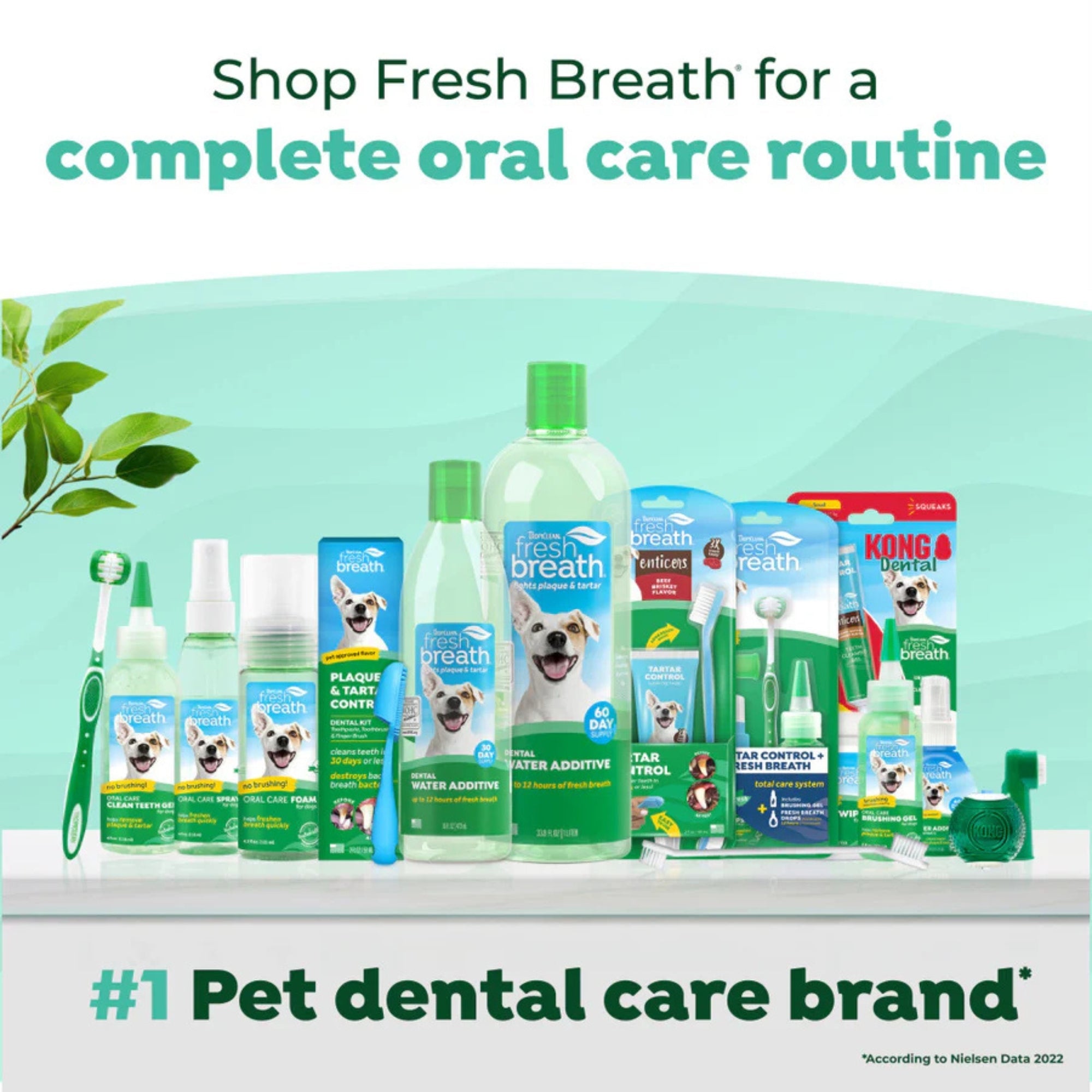TropiClean Fresh Breath Oral Care Water Additive for Dogs 1ea/33.8 fl oz