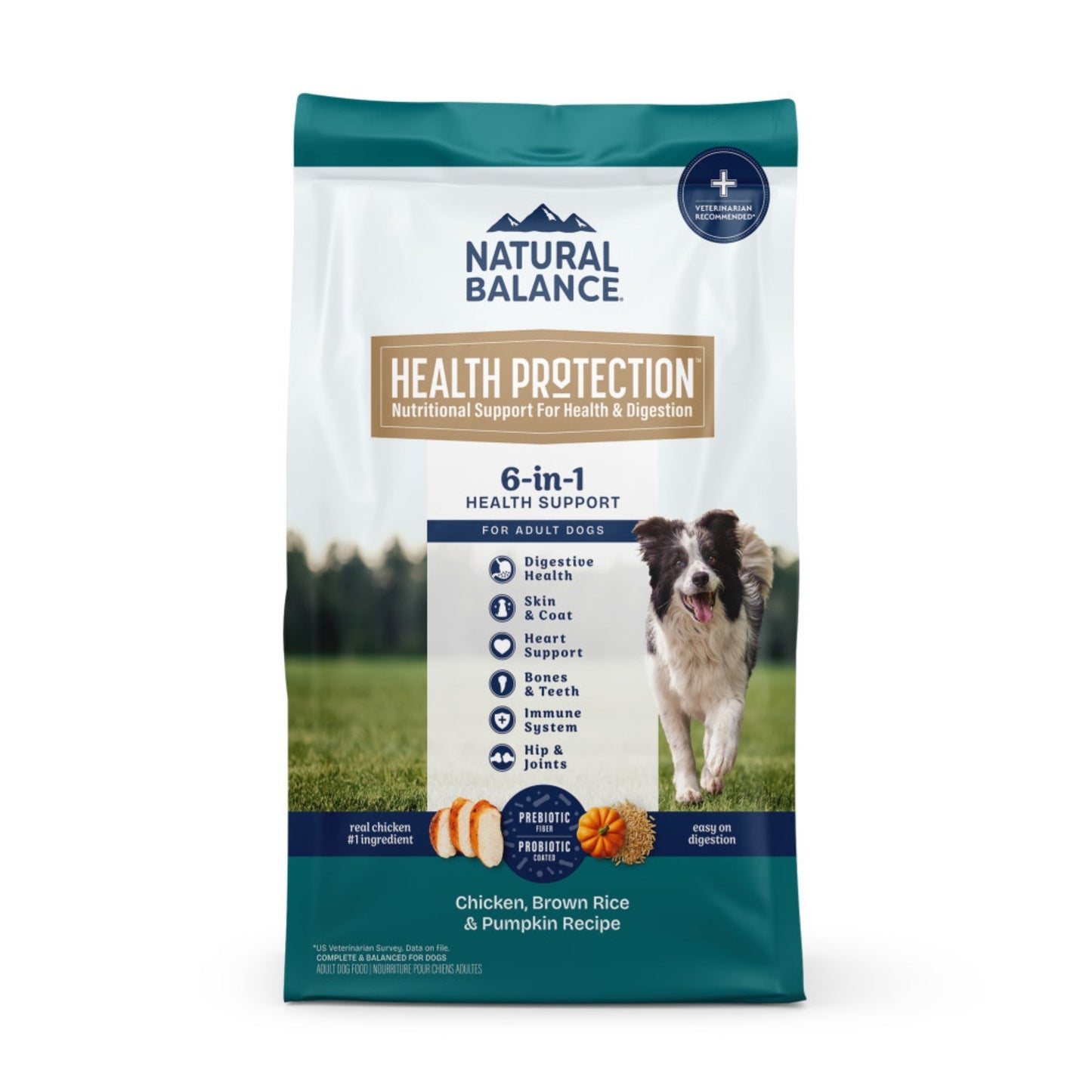 Natural Balance Pet Foods Health Protection Dry Dog Food Chicken, Rice & Pumpkin 4lb