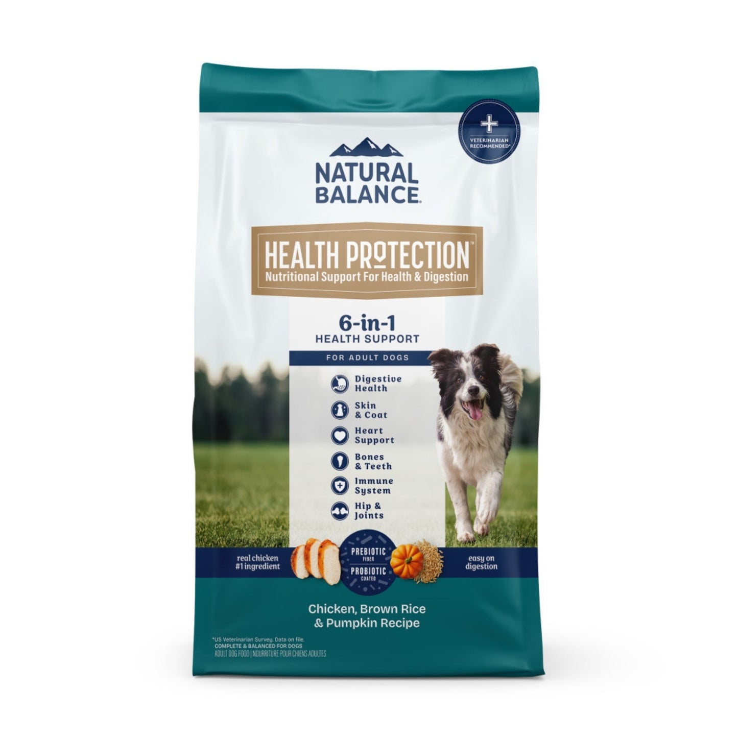 Natural Balance Pet Foods Health Protection Dry Dog Food Chicken, Rice & Pumpkin 24lb