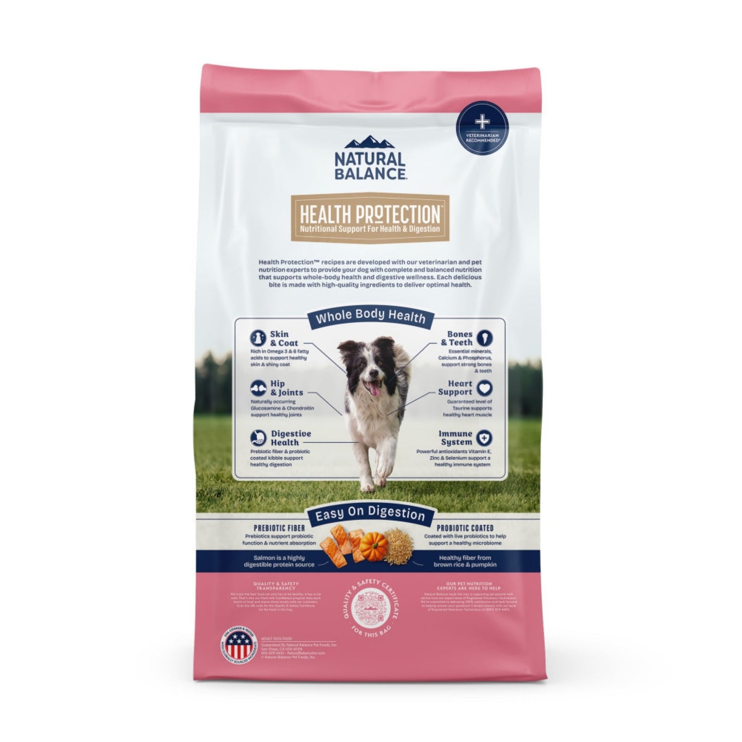 Natural Balance Pet Foods Health Protection Dry Dog Food Salmon, Brown Rice & Pumpkin 22lb