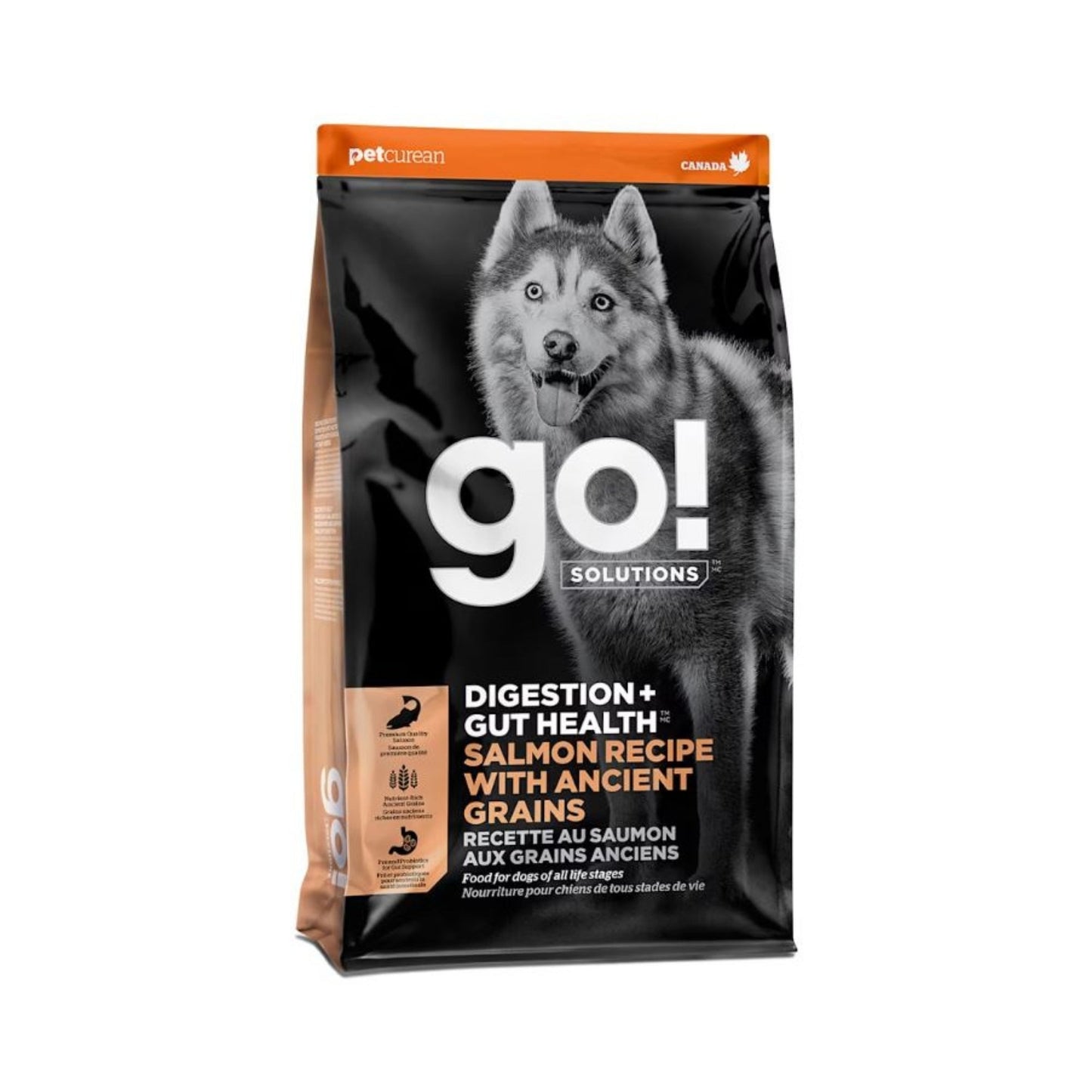 Go! Dog Digestion & Gut Health Salmon Ancient Grain 22Lb