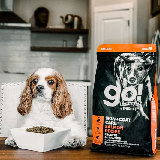Go! Dog Skin & Coat Care Salmon With Grain 3.5Lb