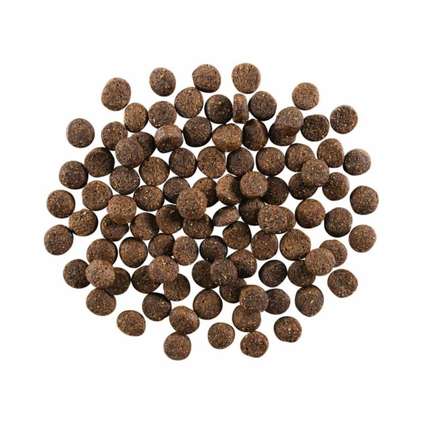 Go! Dog Skin & Coat Care Lamb With Grain 3.5Lb