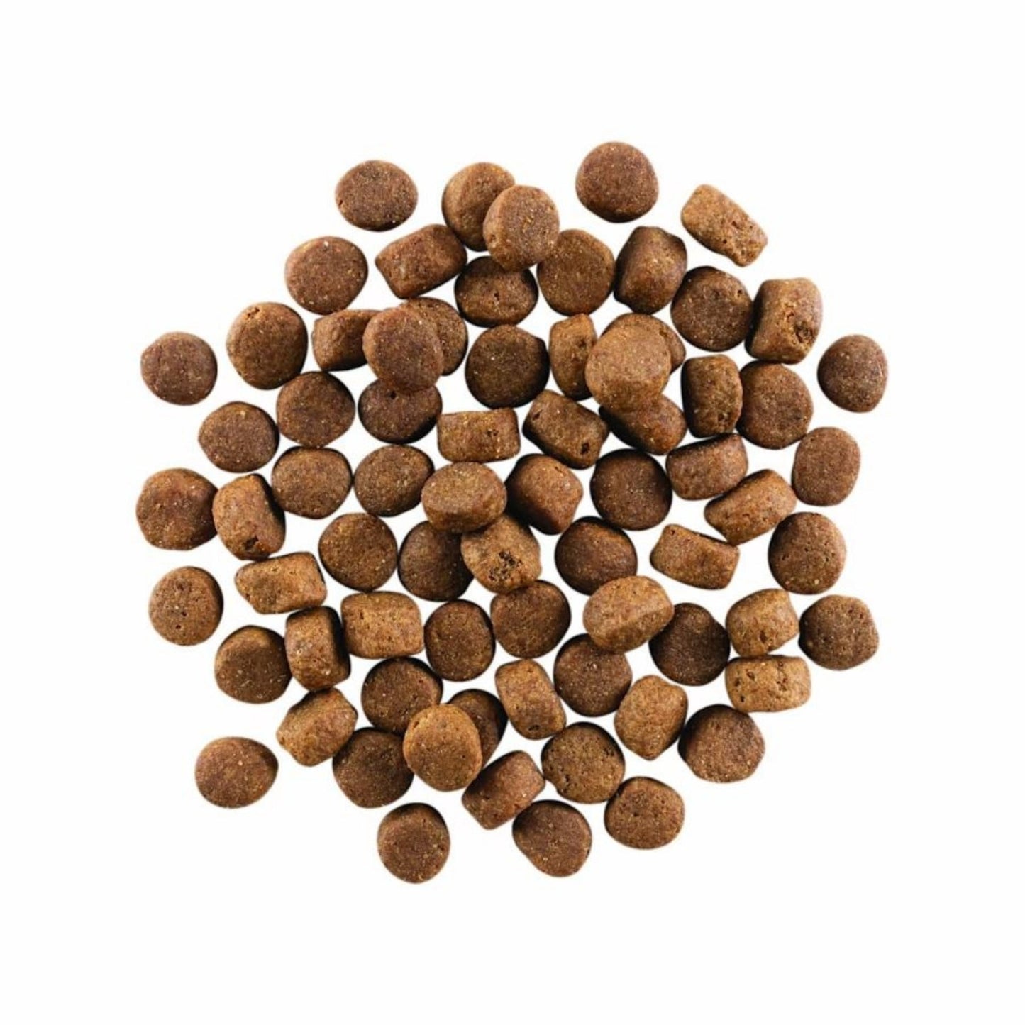 Go! Dog Carnivore Grain Free Senior Chicken, Turkey & Duck 22Lb