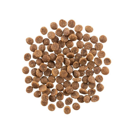 Go! Cat Carnivore Grain Free Salmon & Cod 3Lb