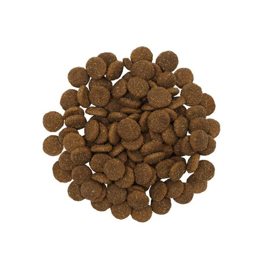 Go! Dog Skin & Coat Care Adult Large Breed Salmon With Grain 25Lb