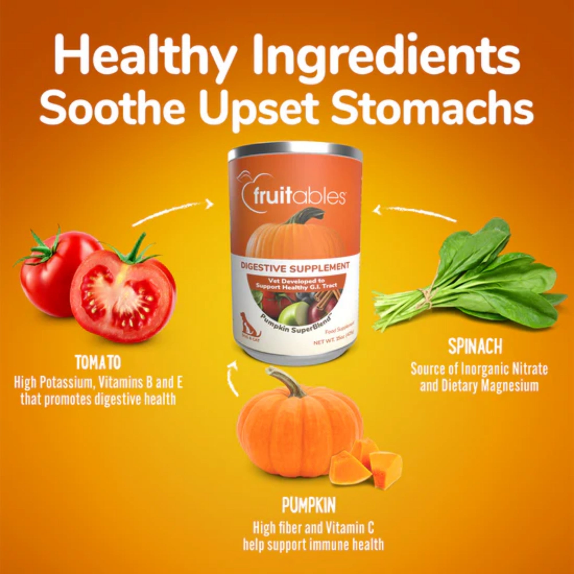 Fruitables Pumpkin Digestive Supplement 1ea/15 oz
