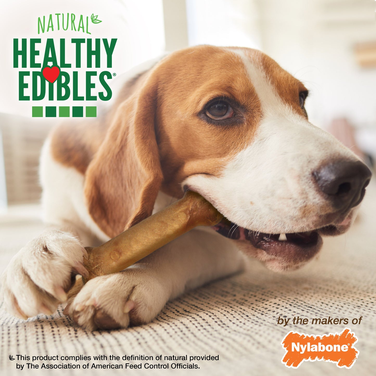 Nylabone Healthy Edibles AllNatural Long Lasting Chew Treats Bacon, 1ea/Medium/Wolf  Up To 35 Lbs. 1 ct
