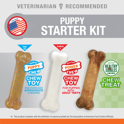 Nylabone Puppy Starter Kit Dog Chew Toys  Treat Chicken  Bacon, 1ea/SMall/Regular  Up To 25 Ibs. 3 ct